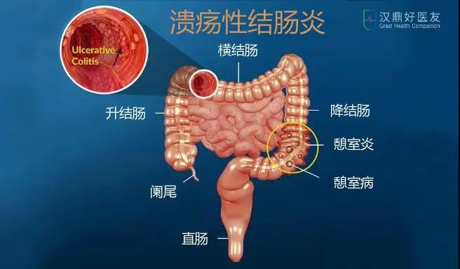 微信圖片_20200831161818.jpg