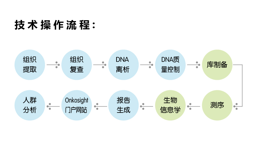 OnkoSight操作流程,技術(shù)流程