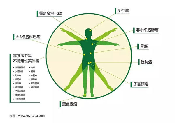 腫瘤分布圖，癌癥分布圖