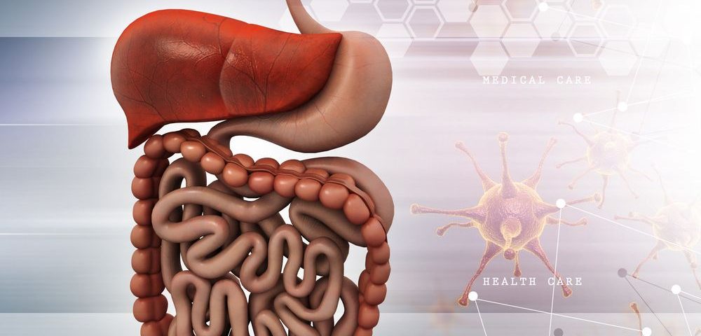 1634003600815252.jpg 腸道.jpg