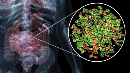 1634088592234822.png 結(jié)直腸癌.png