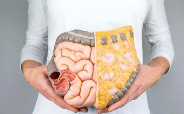 1635472904956827.jpg 腸癌.jpg