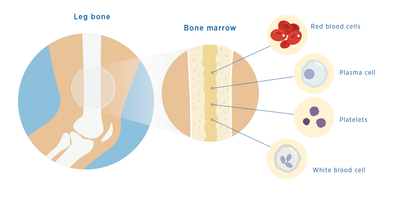 1636077474699744.png MM87.png