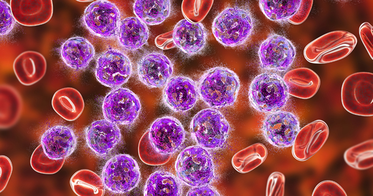 1636077491914601.jpeg MM1.jpeg