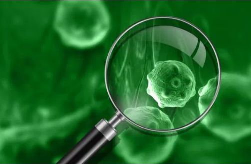 1637634133253685.jpg 淋巴瘤2.jpg