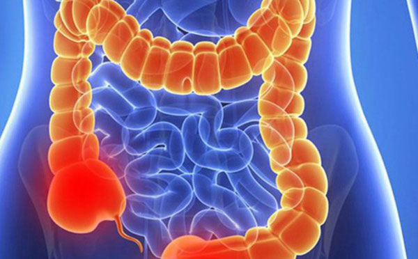 1639539670321988.jpg viem-dai-trang-co-that-8.jpg