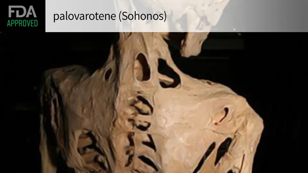 20230818h.png